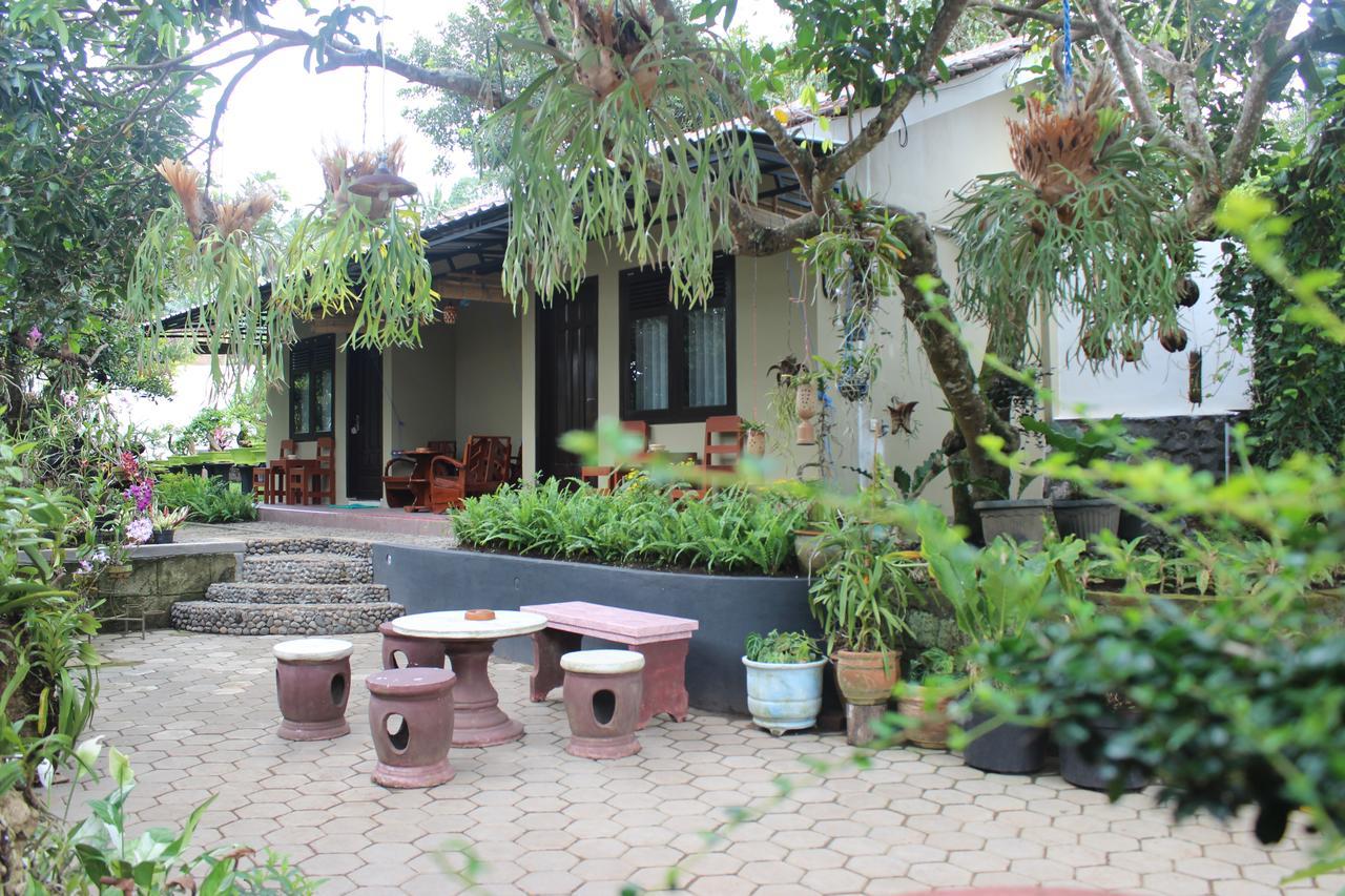 Banyu Homestay Banyuwangi  Exteriér fotografie