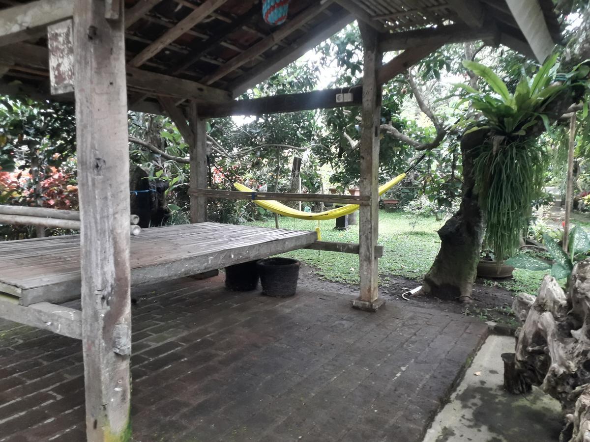 Banyu Homestay Banyuwangi  Exteriér fotografie