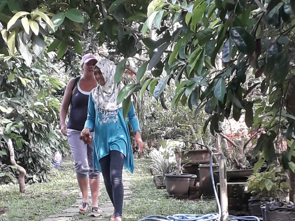 Banyu Homestay Banyuwangi  Exteriér fotografie