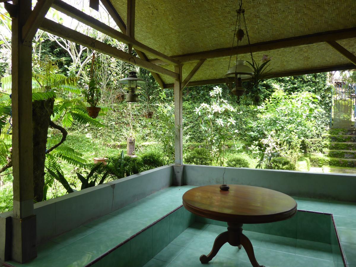 Banyu Homestay Banyuwangi  Exteriér fotografie