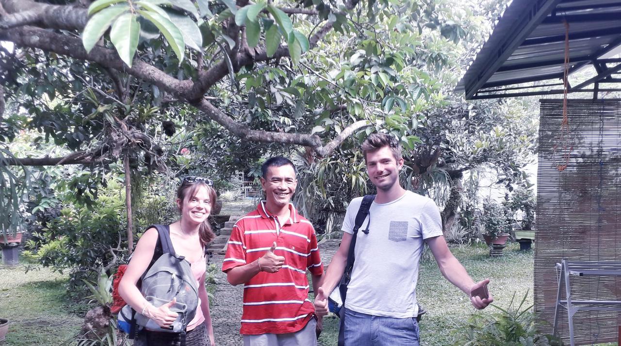 Banyu Homestay Banyuwangi  Exteriér fotografie