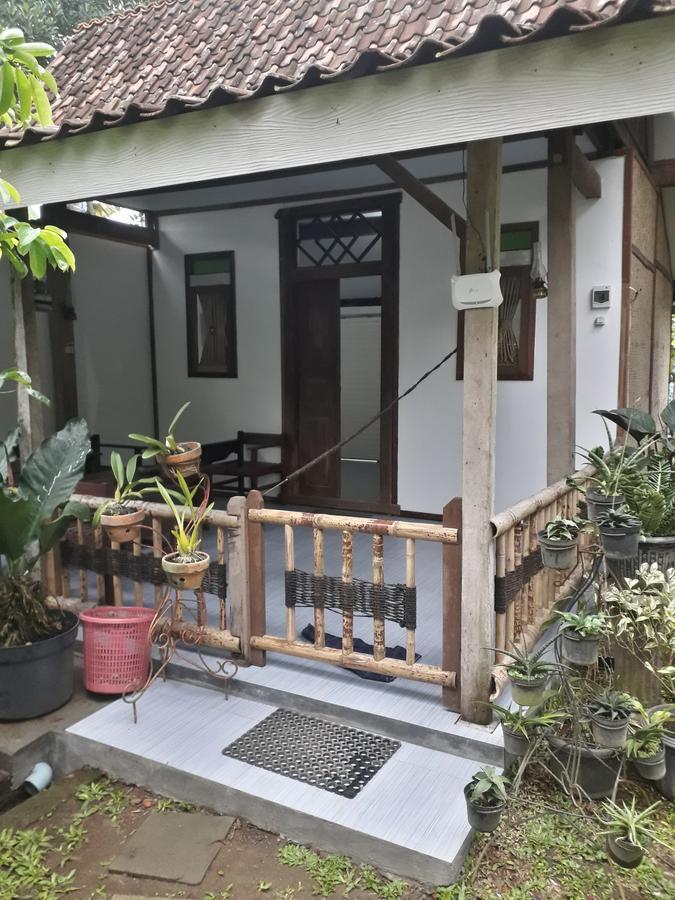 Banyu Homestay Banyuwangi  Exteriér fotografie