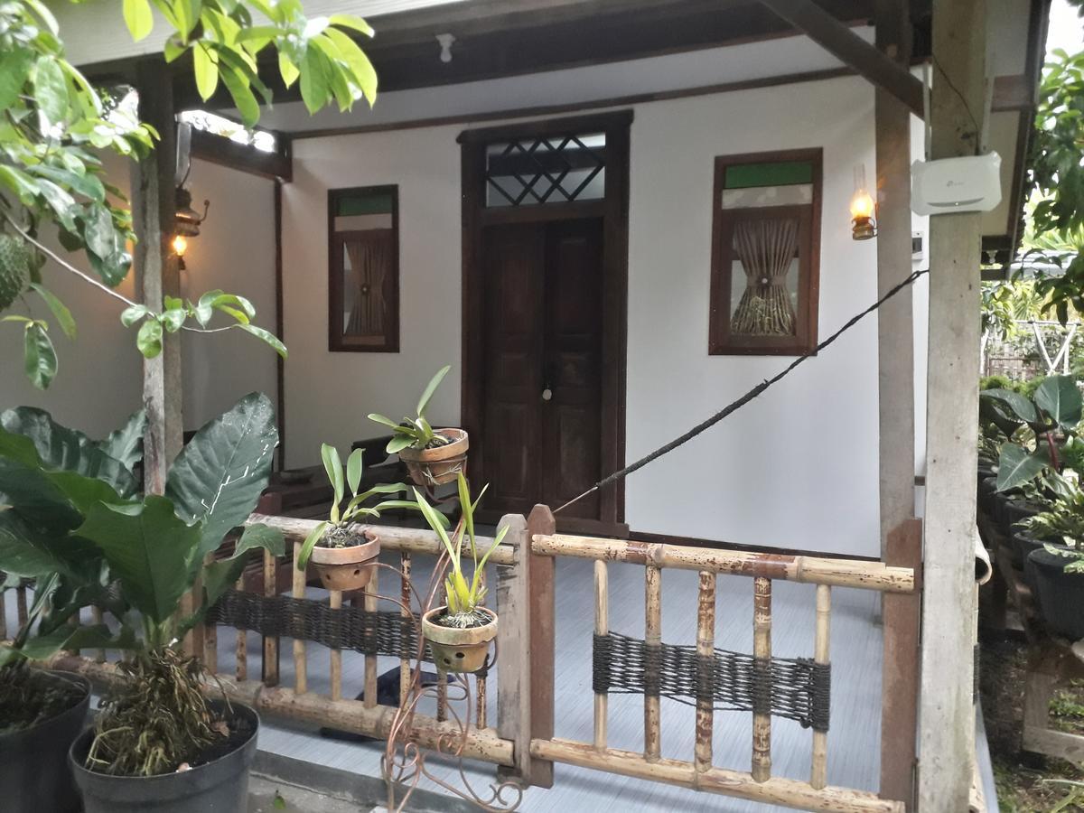 Banyu Homestay Banyuwangi  Exteriér fotografie
